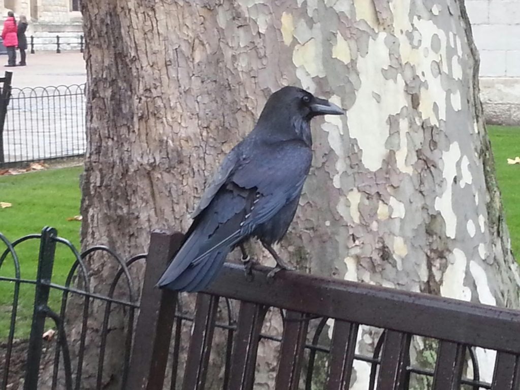 20131118_105133