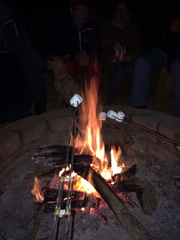 IMG-20140101-WA0021
