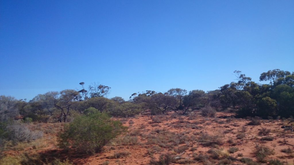 DSC_4432