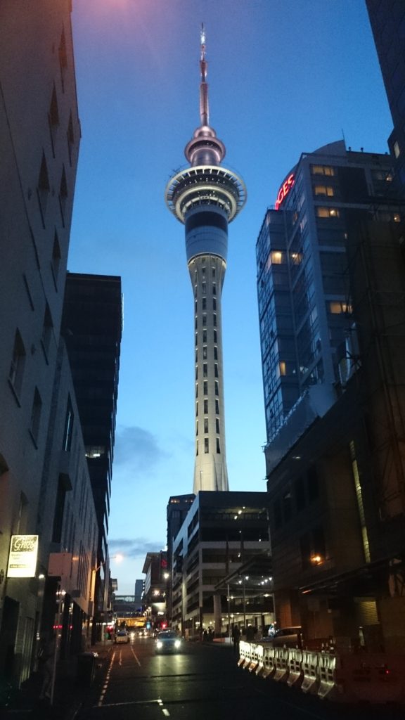 DSC_4496