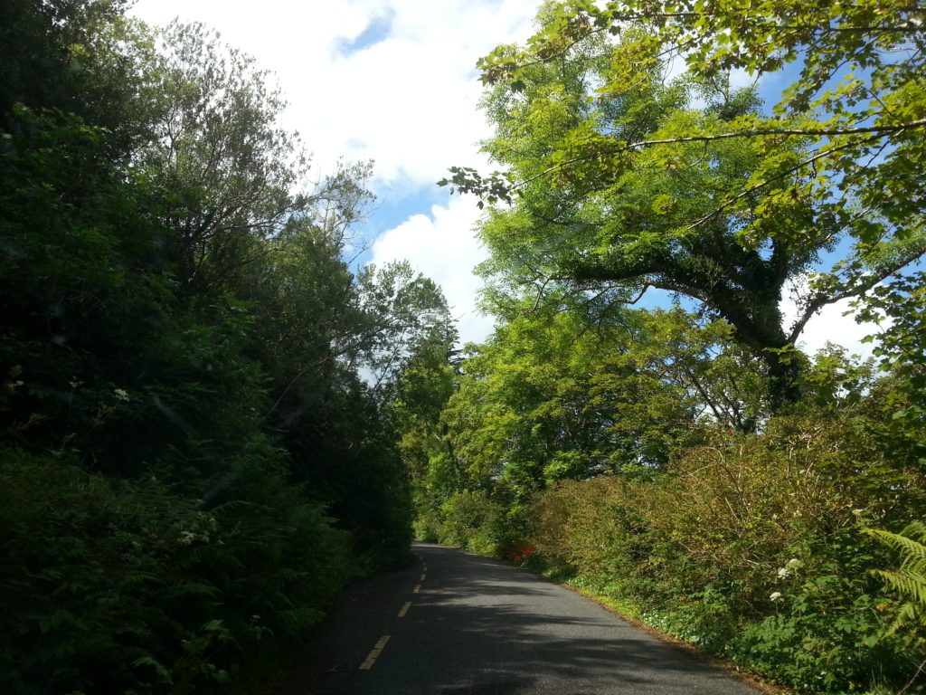 20140808_124708