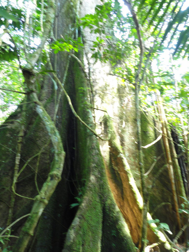 DSC02601
