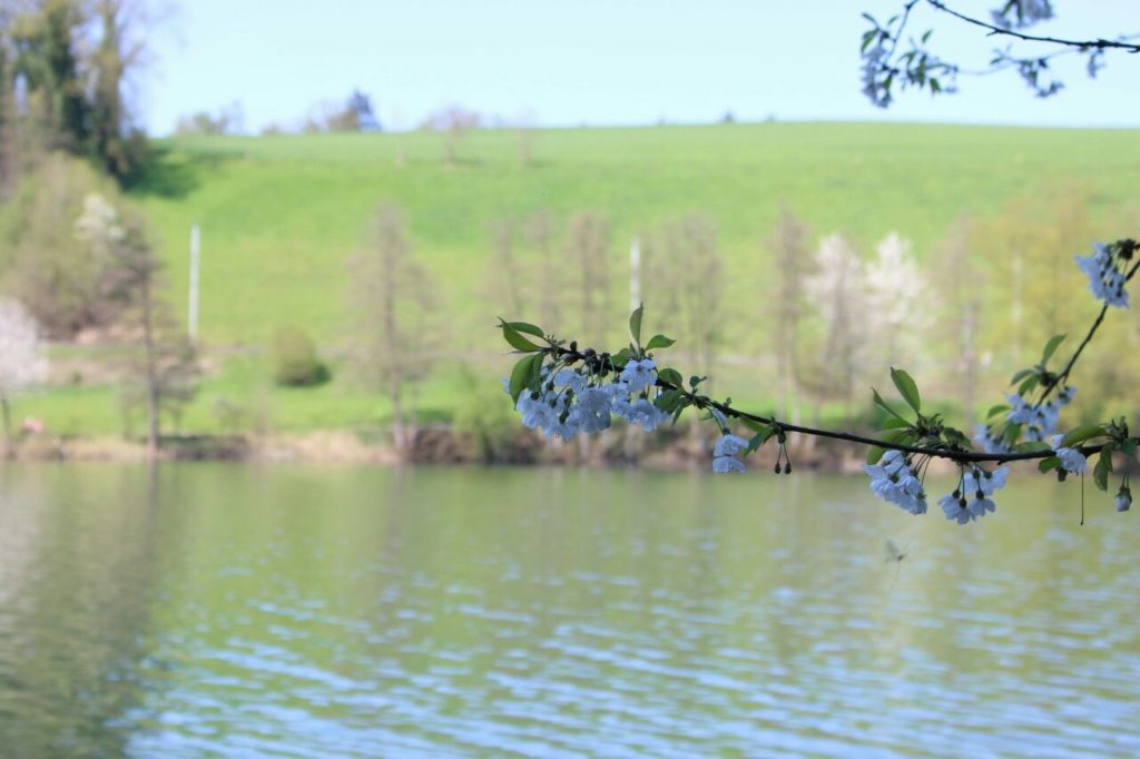 IMG-20150419-WA0010