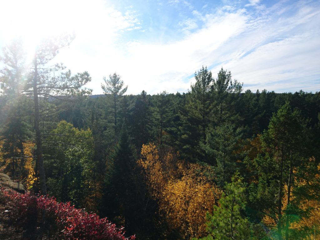 dsc_7727